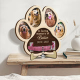 Personalized Pet Collar Frame Custom Photo Memorial Gift for Animal Lovers