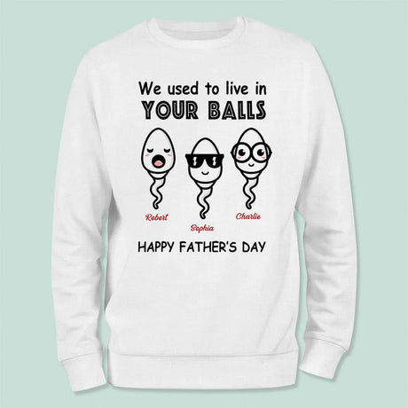 We Used To Live In Your Balls Family Shirt Father's Day Gift