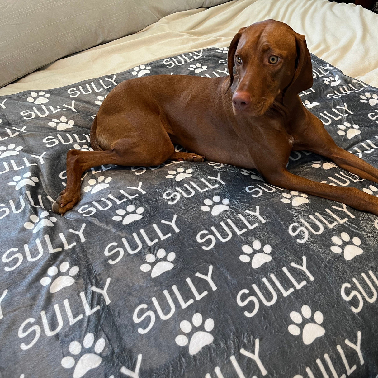 Personalized Paw Print Name Blanket For Pet, Custom Dog Blanket, Plush Blanket, Personalized Puppy Blanket, Dog Bed Blanket, Pet Lover Gift