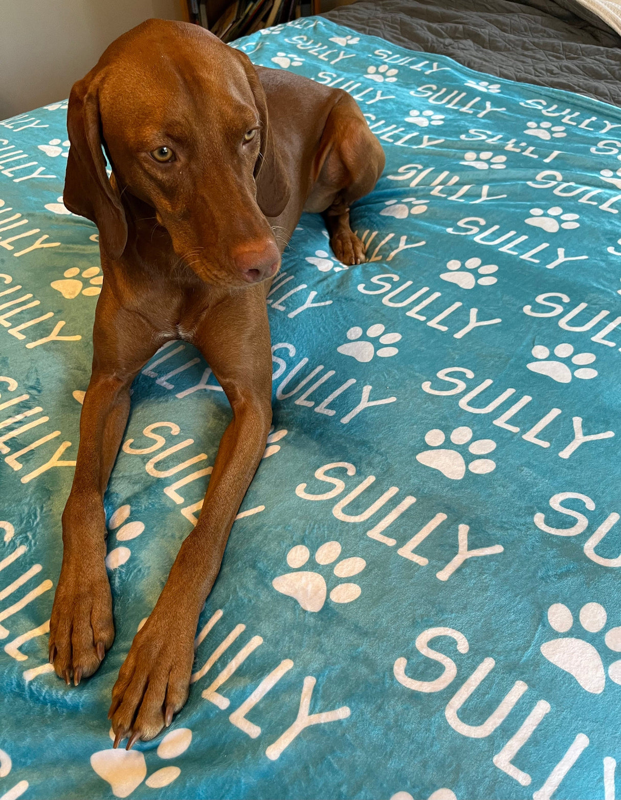 Personalized Pet Blanket | Custom Bedding for Pets | Customized Blankets for Dog and Cats | Blankets for pets