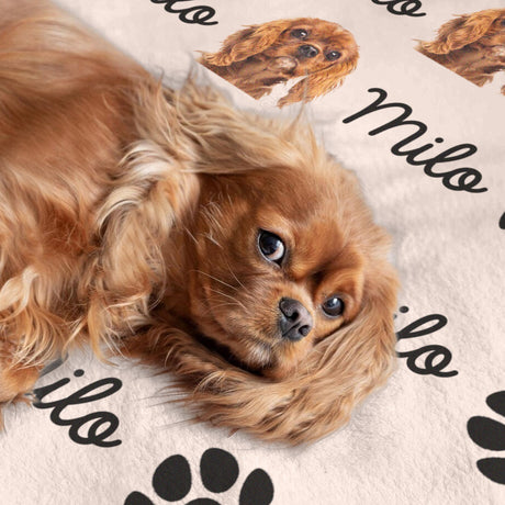 Personalized Pet Blanket | Custom Bedding for Pets | Customized Blankets for Dog and Cats | Blankets for pets